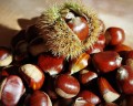 Krem z kasztanów jadalnych wyprodukowany w Ardèche  to gwarancja jakości i oryginalnego smaku.