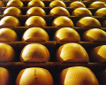 Włoski Parmigiano Reggiano dojrzewający 24 miesiące zachwyca równowagą i autentycznością smaków. Bezpośrednio od producenta z regionu Emilia Romagna.
