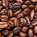cafe grains 800 800.jpg