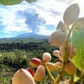 Etna