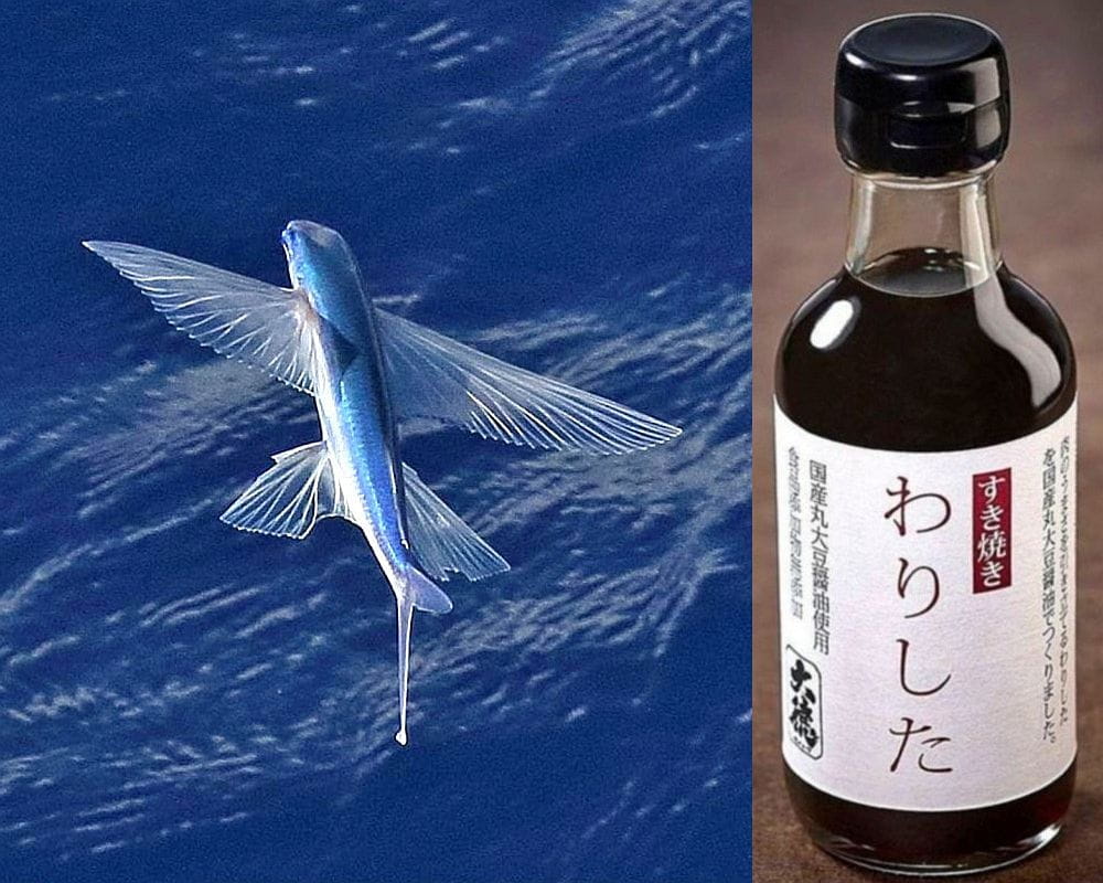 Sukiyaki poisson volant.jpg