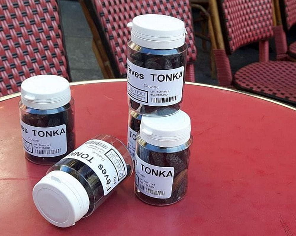 Tonka z Gujany Francuskiej lub z Brazylii  - oryginalna przyprawa o smaku migdałów, karmelu i wanilii.